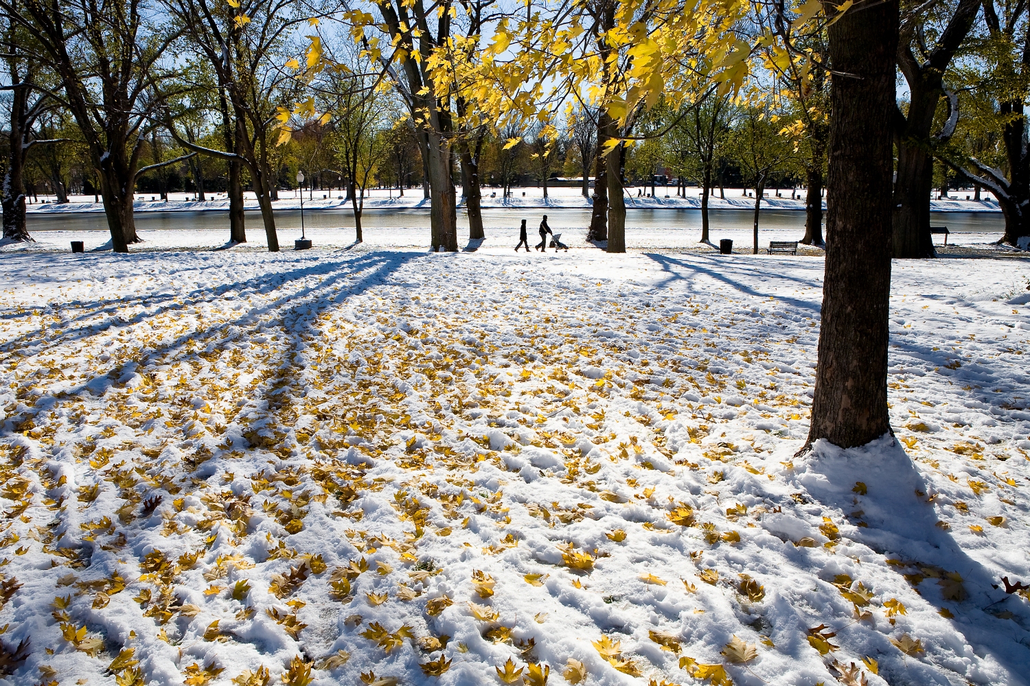 Snow on the Mall, December 6, 2007